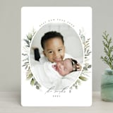 "Soft Greenery" - Retired Holiday Cards in Sage by Susan Moyal - Front