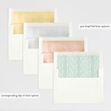 "Fun for everyone" - Retired Holiday Cards in Ice by Lisa McLean - Envelope Liners