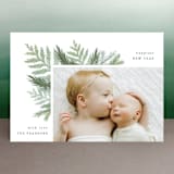 "Chic Greenery" - Retired Holiday Cards in Sage by Hooray Creative - Front