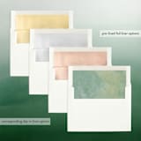 "Chic Greenery" - Retired Holiday Cards in Sage by Hooray Creative - Envelope Liners