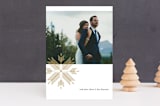 "chevron flake" - Retired Holiday Cards in Wheat by lena barakat - Front