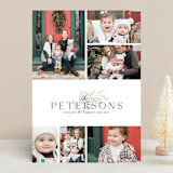 "Six" - Retired Holiday Cards in Sage by Melanie Kosuge - Front