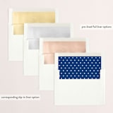 "Merry Minimalism" - Retired Holiday Cards in Navy by AK Graphics - Envelope Liners