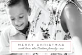 "Classic Label" - Retired Holiday Cards in Persimmon by Laura Condouris - Close-Up