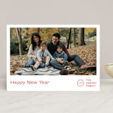 "Punched" - Retired Holiday Cards in Holly by Jack Knoebber - Front
