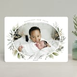 "Soft Greenery" - Retired Holiday Cards in Sage by Susan Moyal - Front