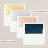 "Modern Mele Kalikimaka" - Retired Holiday Cards in Snow by Jamie Schultz Designs - Envelope Liners
