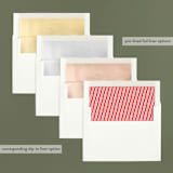 "Warm Holiday Wishes" - Retired Holiday Cards in Icing by Design Lotus - Envelope Liners