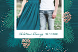 "Everything Pine" - Retired Holiday Cards in Pine by Hooray Creative - Close-Up