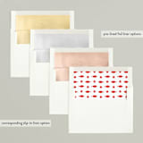 "never heard of it" - Retired Holiday Cards in Persimmon by Alaina Cherup - Envelope Liners