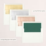 "Our Family" - Retired Holiday Cards in Snow by Lauren Chism - Envelope Liners