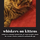 "Whiskers on Kittens" - Retired Holiday Cards in Licorice by Erika Firm - Close-Up