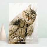 "Meowy" - Retired Holiday Cards in Snow by Chryssi Tsoupanarias - Front