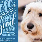 "He Nose" - Retired Holiday Cards in Celestial by Gina Grittner - Close-Up