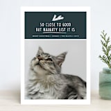 "So Close" - Retired Holiday Cards in Coal by Paula Pecevich - Front