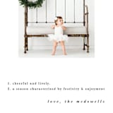 "The Definition of Merry" - Retired Holiday Cards in Winter by Bramble Studio - Close-Up