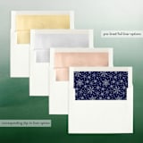 "Modern Name" - Retired Holiday Cards in Navy by Sarah Brown - Envelope Liners