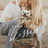 "pawsitively blessed" - Retired Holiday Cards in Pine by Lori James - Close-Up