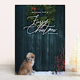 "Furry Christmas" - Retired Holiday Cards in Snow by Jessica C Nugent - Front