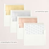 "Furry Christmas" - Retired Holiday Cards in Snow by Jessica C Nugent - Envelope Liners