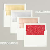 "Bright Spirits" - Retired Holiday Cards in Poinsettia by Hooray Creative - Envelope Liners