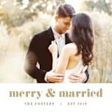 "Established in Color" - Retired Holiday Cards in Tan by Pixel and Hank - Close-Up