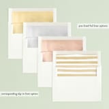 "Established in Color" - Retired Holiday Cards in Tan by Pixel and Hank - Envelope Liners
