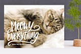 "Meowy Everything" - Retired Holiday Cards in First Snow by Loree Mayer - Front