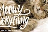 "Meowy Everything" - Retired Holiday Cards in First Snow by Loree Mayer - Close-Up