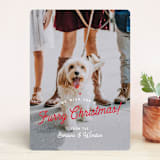 "Furry Christmas" - Retired Holiday Cards in Berry by Eric Clegg - Front