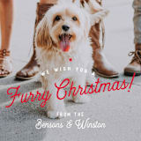"Furry Christmas" - Retired Holiday Cards in Berry by Eric Clegg - Close-Up