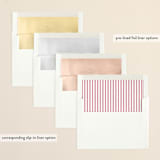 "Holiday Notes" - Retired Holiday Cards in Sage by Baumbirdy - Envelope Liners