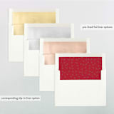 "Christmas Cactus" - Retired Holiday Cards in Pomegranate by Susan Moyal - Envelope Liners