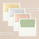 "Photo Album" - Retired Holiday Cards in Snow by Julia Hall - Envelope Liners