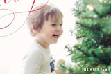 "Crosby" - Retired Holiday Cards in Cherry by kelli hall - Close-Up