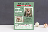 "Dog's Year in Review" - Retired Holiday Cards in Spearmint by 2birdstone - Front