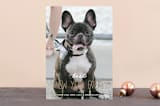 "Season's Grrreetings" - Retired Holiday Cards in Mocha by Anupama - Front