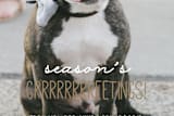 "Season's Grrreetings" - Retired Holiday Cards in Mocha by Anupama - Close-Up