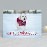 "Snow Good" - Retired Holiday Cards in Cranberry by Sarah Brown - Front