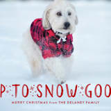 "Snow Good" - Retired Holiday Cards in Cranberry by Sarah Brown - Close-Up