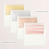 "Sheer" - Retired Holiday Cards in Peach Cobbler by Lisa McLean - Envelope Liners