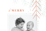 "gilded evergreen" - Retired Holiday Cards in Snow by Angela Marzuki - Close-Up