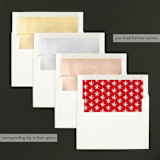 "Holiday Revelry" - Retired Holiday Cards in Frost by Design Lotus - Envelope Liners