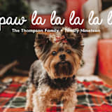 "paw-la-la" - Retired Holiday Cards in Silk by Jair - Close-Up