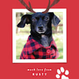"Reindeer Ears" - Retired Holiday Cards in Berry by Hooray Creative - Close-Up