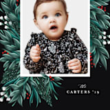 "festive fir" - Retired Holiday Cards in Onyx by Angela Marzuki - Close-Up