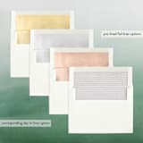 "Scripted Christmas" - Retired Holiday Cards in Snow by Grace Kreinbrink - Envelope Liners