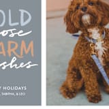 "Cold Nose, Warm Wishes" - Retired Holiday Cards in Slate Blue by Laura Condouris - Close-Up