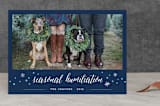 "Seasonal Humiliation" - Retired Holiday Cards in Midnight by Erin Deegan - Front