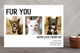 "Fur You" - Retired Holiday Cards in Tuxedo by Debb W - Front